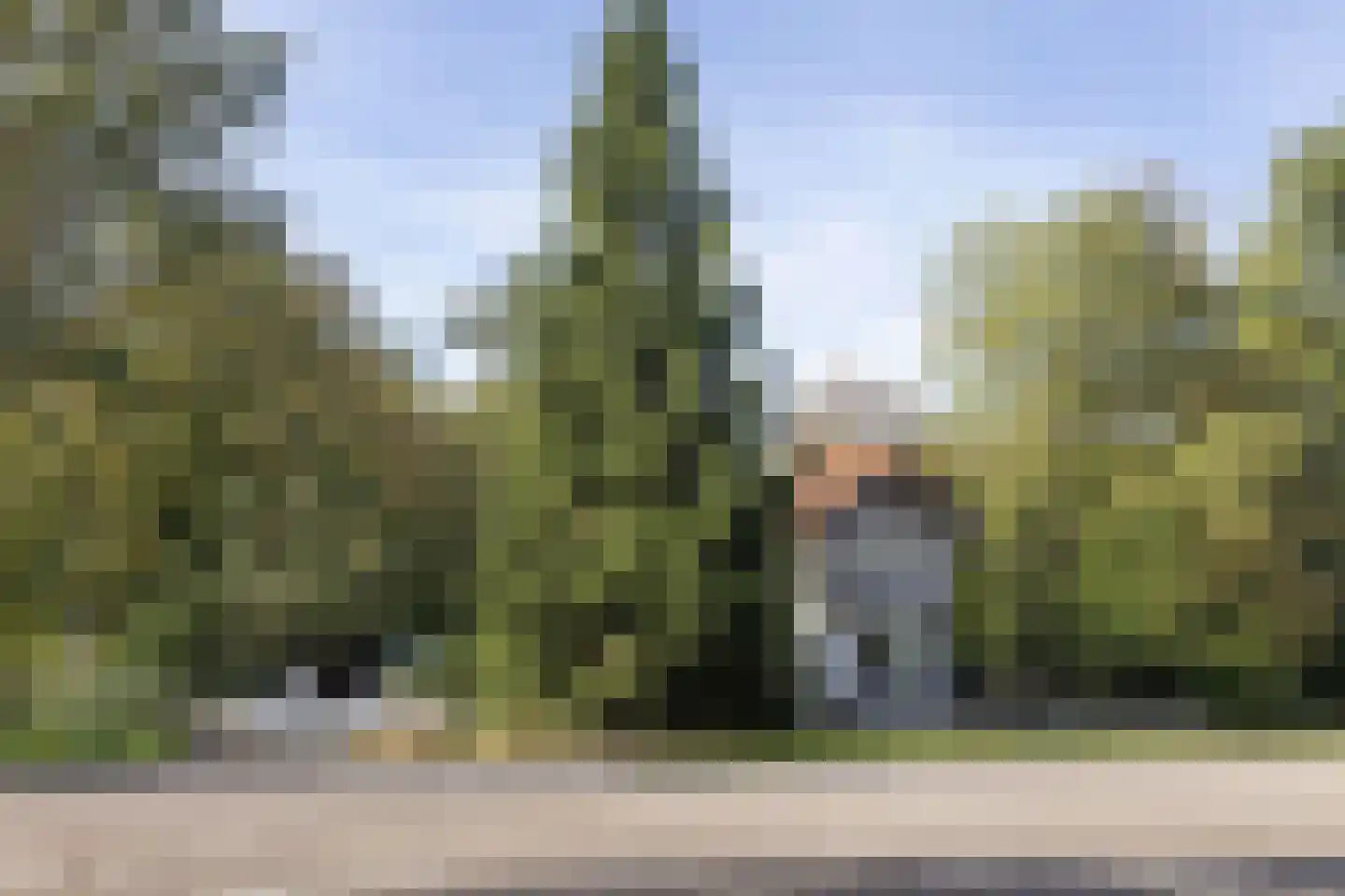 Enschedesestraat 394 Hengelo thumbnail 41