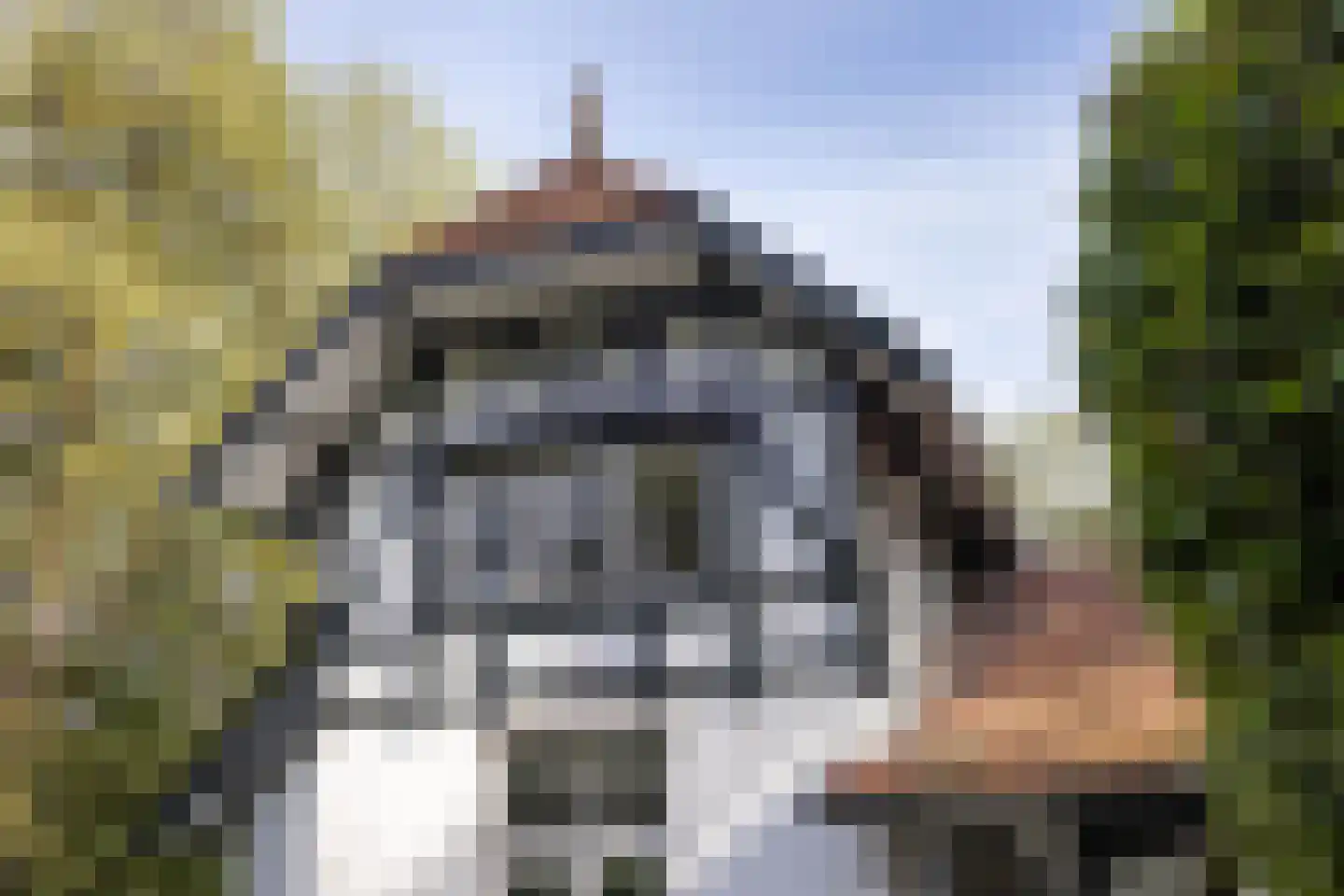 Enschedesestraat 394 Hengelo thumbnail 43