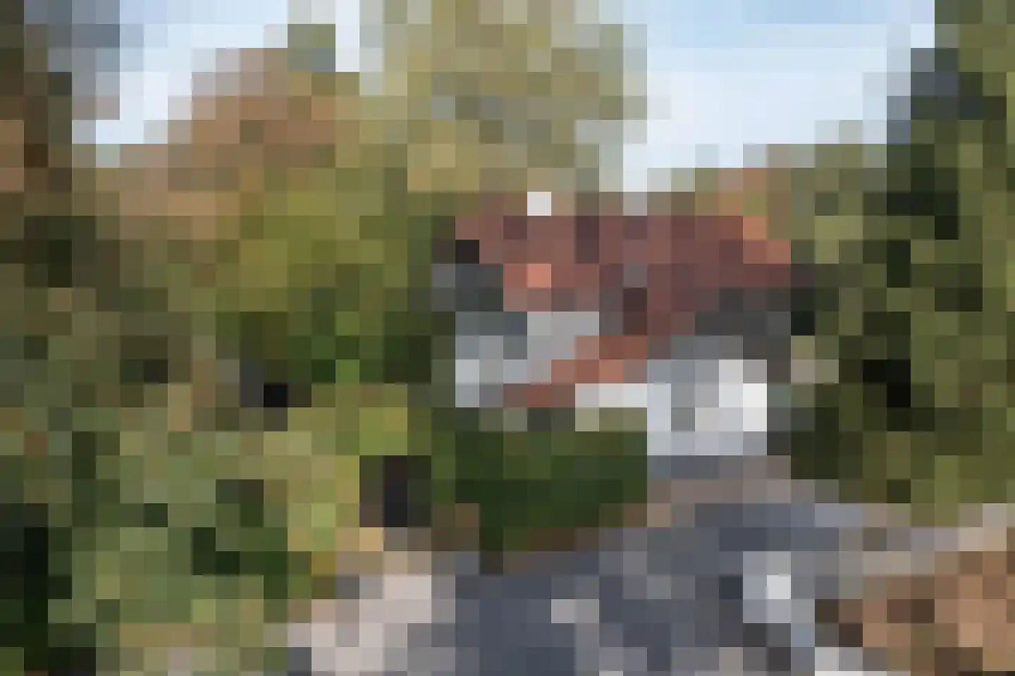 Enschedesestraat 394 Hengelo thumbnail 45