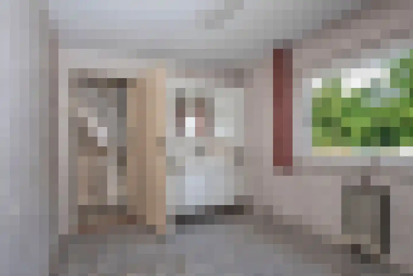 Enschedesestraat 41 Losser thumbnail 24
