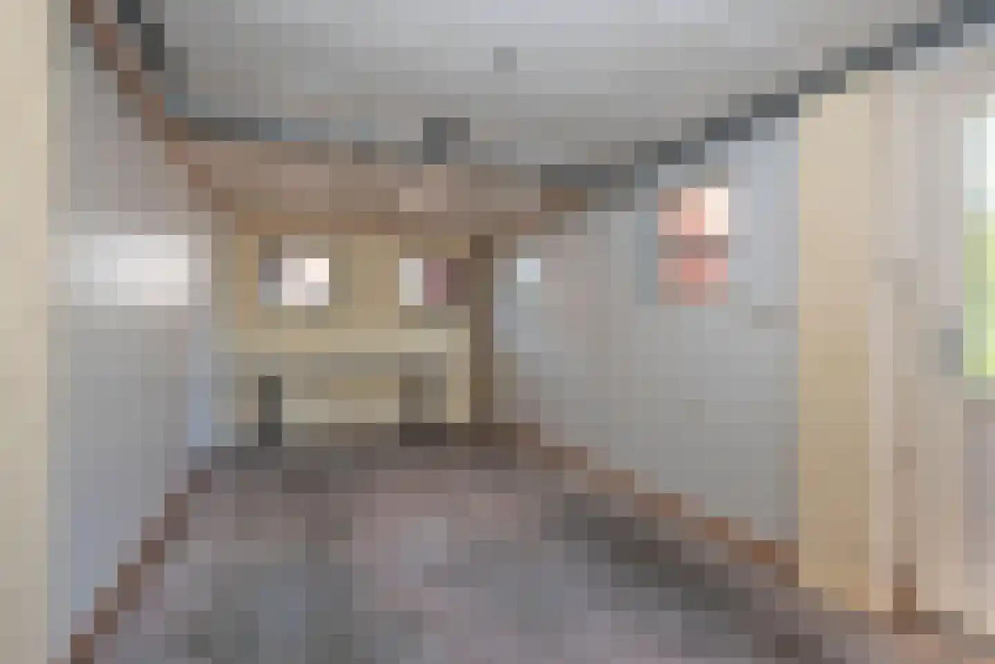 Enschedesestraat 41 Losser thumbnail 32