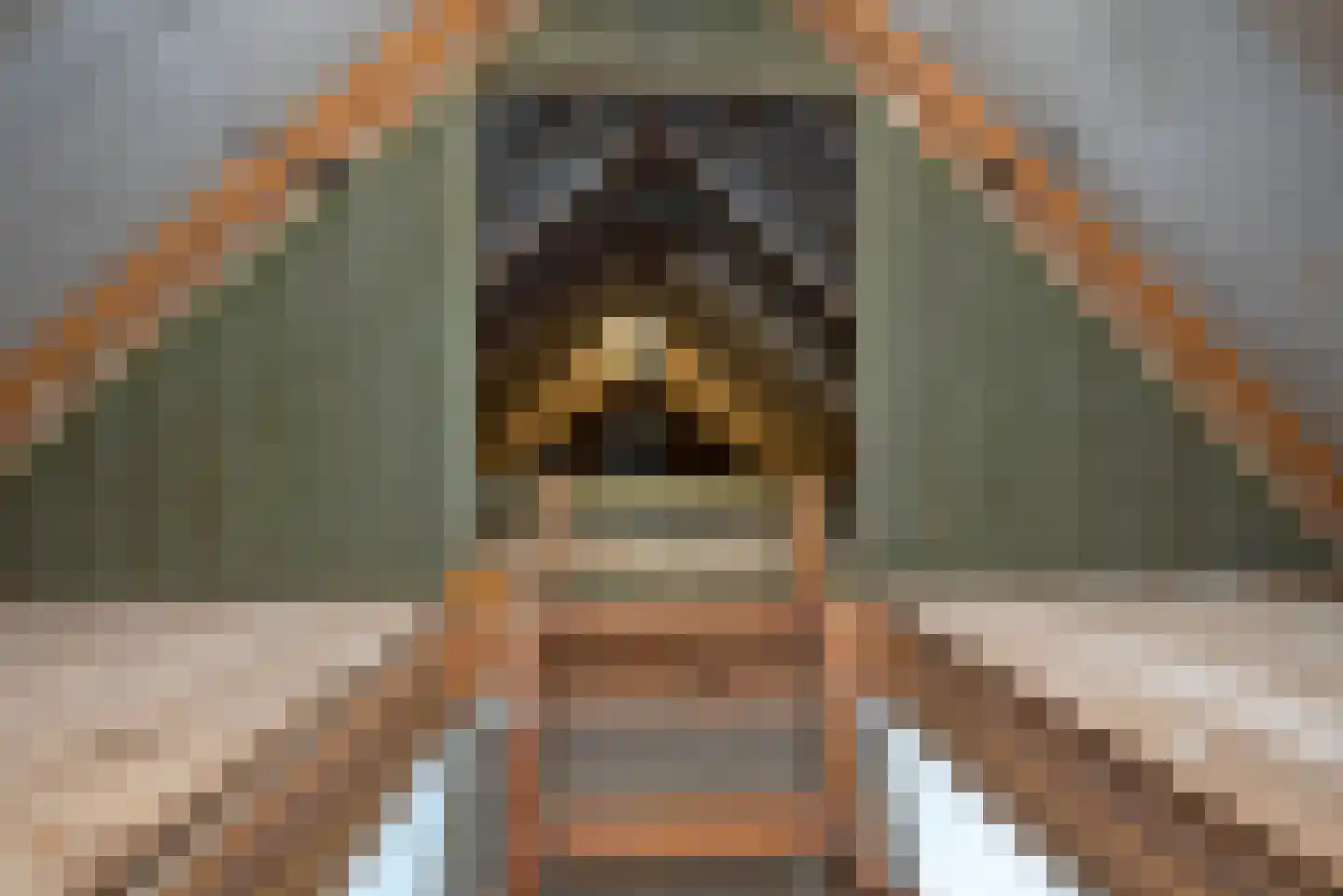 Enschedesestraat 41 Losser thumbnail 34
