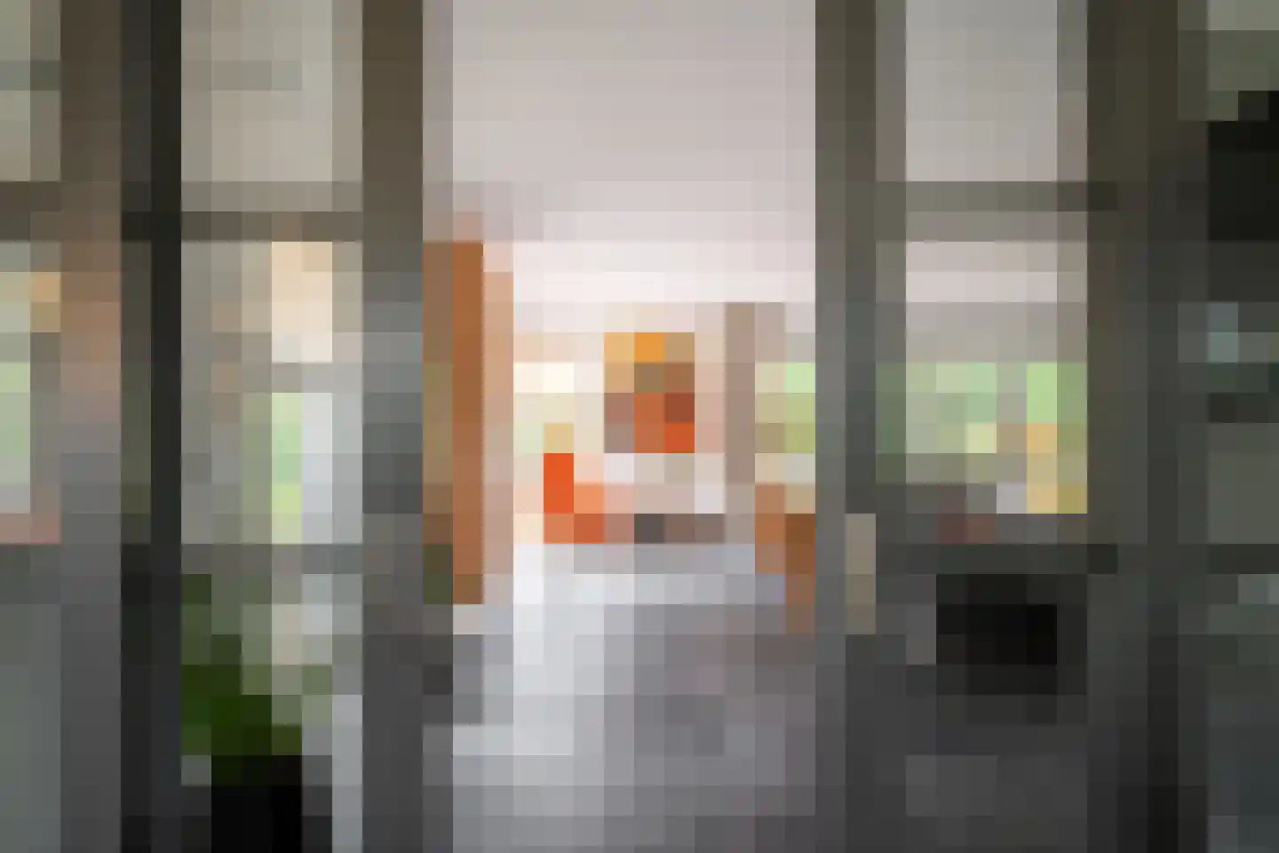 Enschedesestraat 54 Losser thumbnail 20