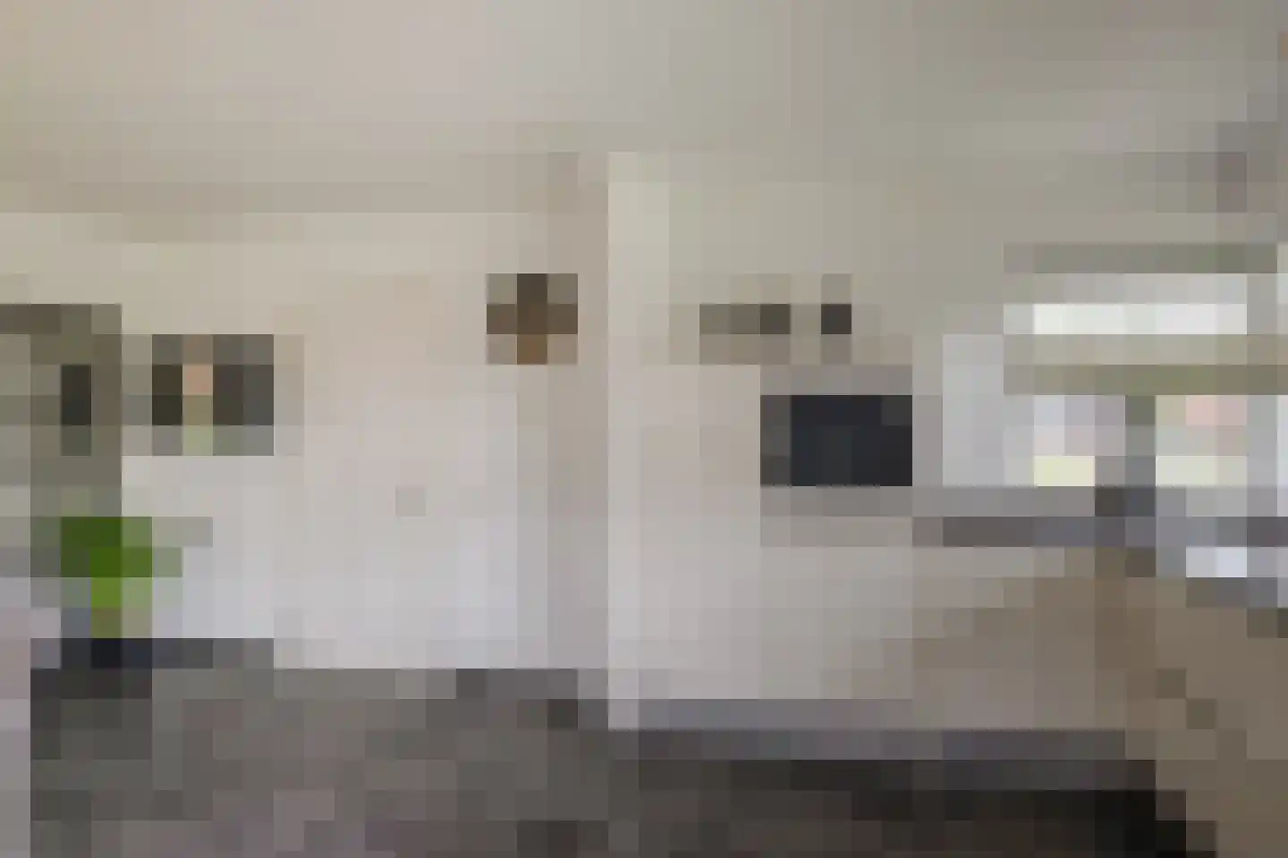 Enschedesestraat 54 Losser thumbnail 21
