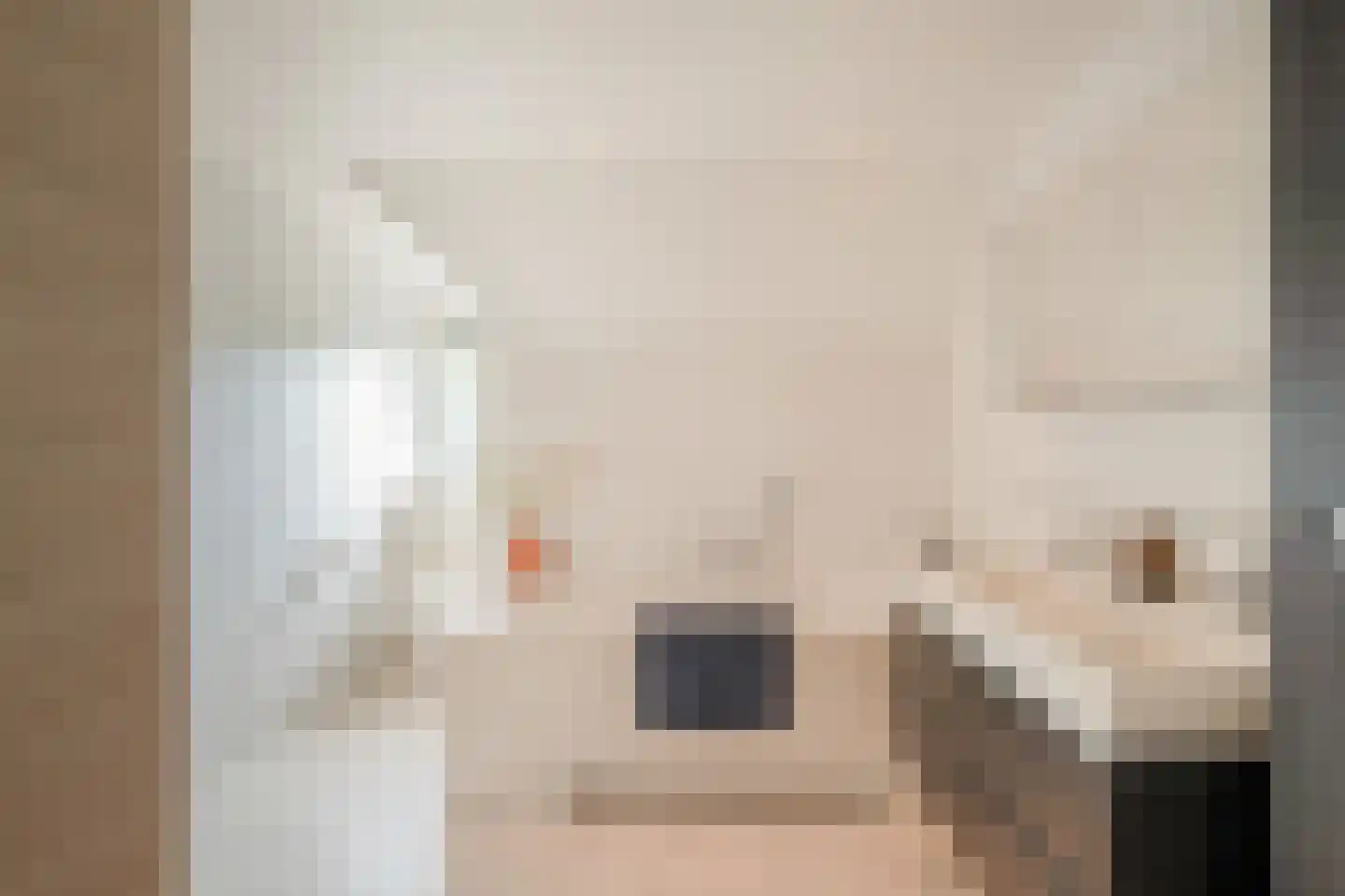 Enschedesestraat 54 Losser thumbnail 33