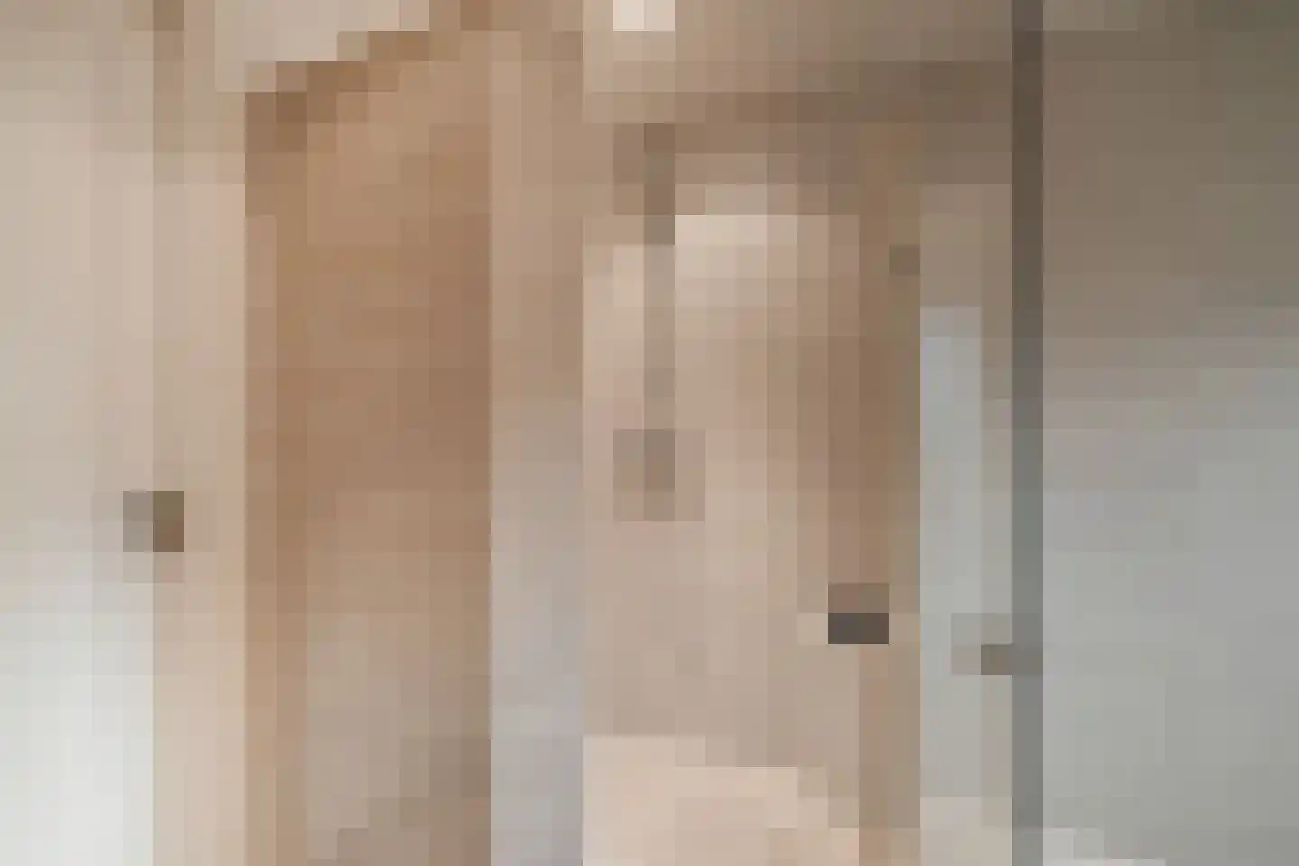 Enschedesestraat 54 Losser thumbnail 35