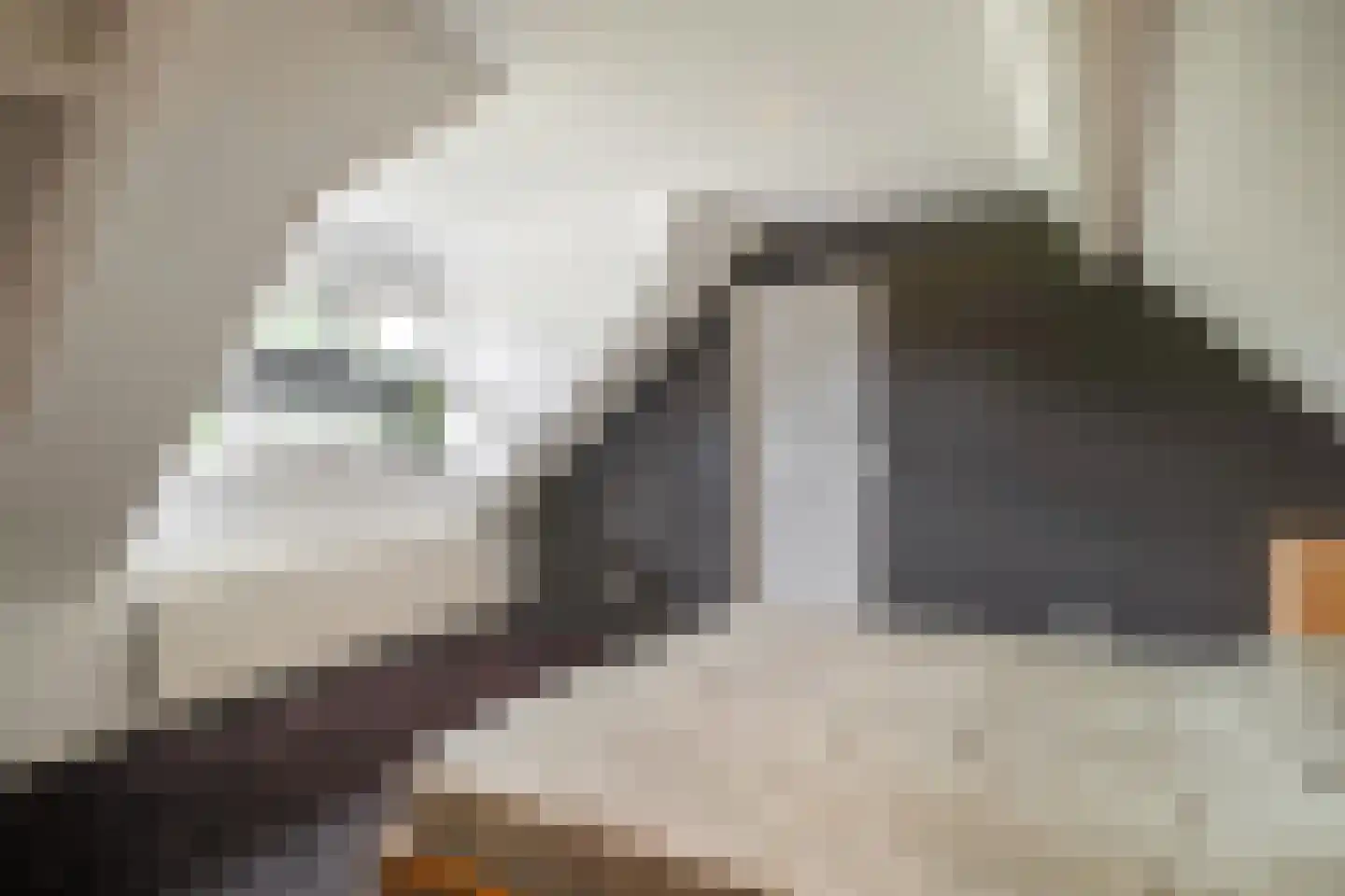 Enschedesestraat 54 Losser thumbnail 38