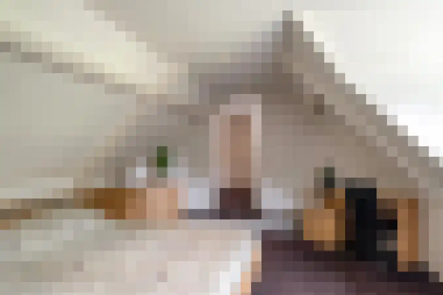 Enschedesestraat 54 Losser thumbnail 39