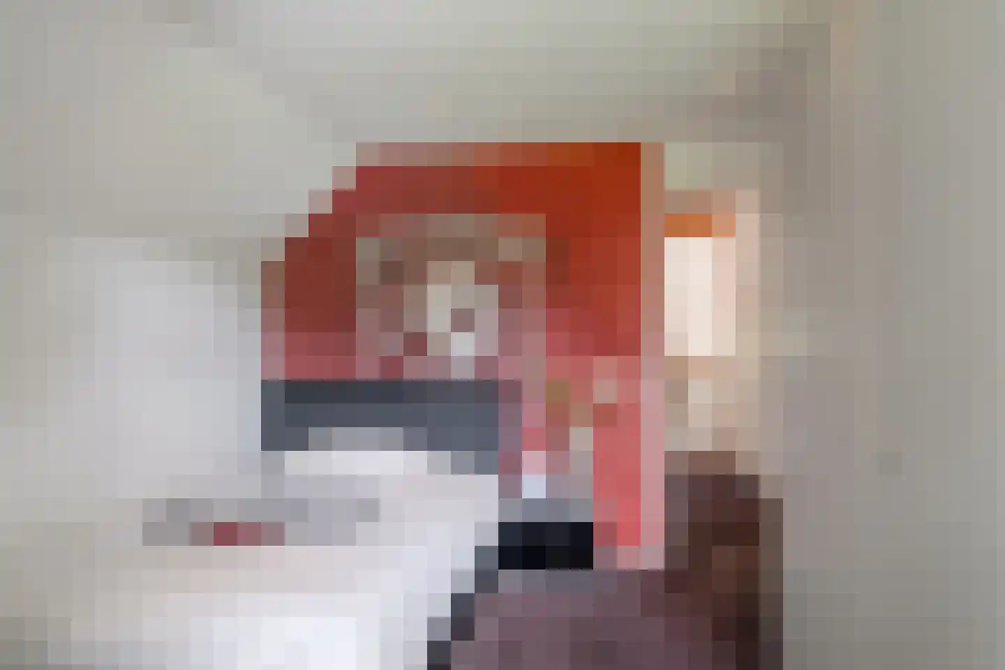 Enschedesestraat 54 Losser thumbnail 43