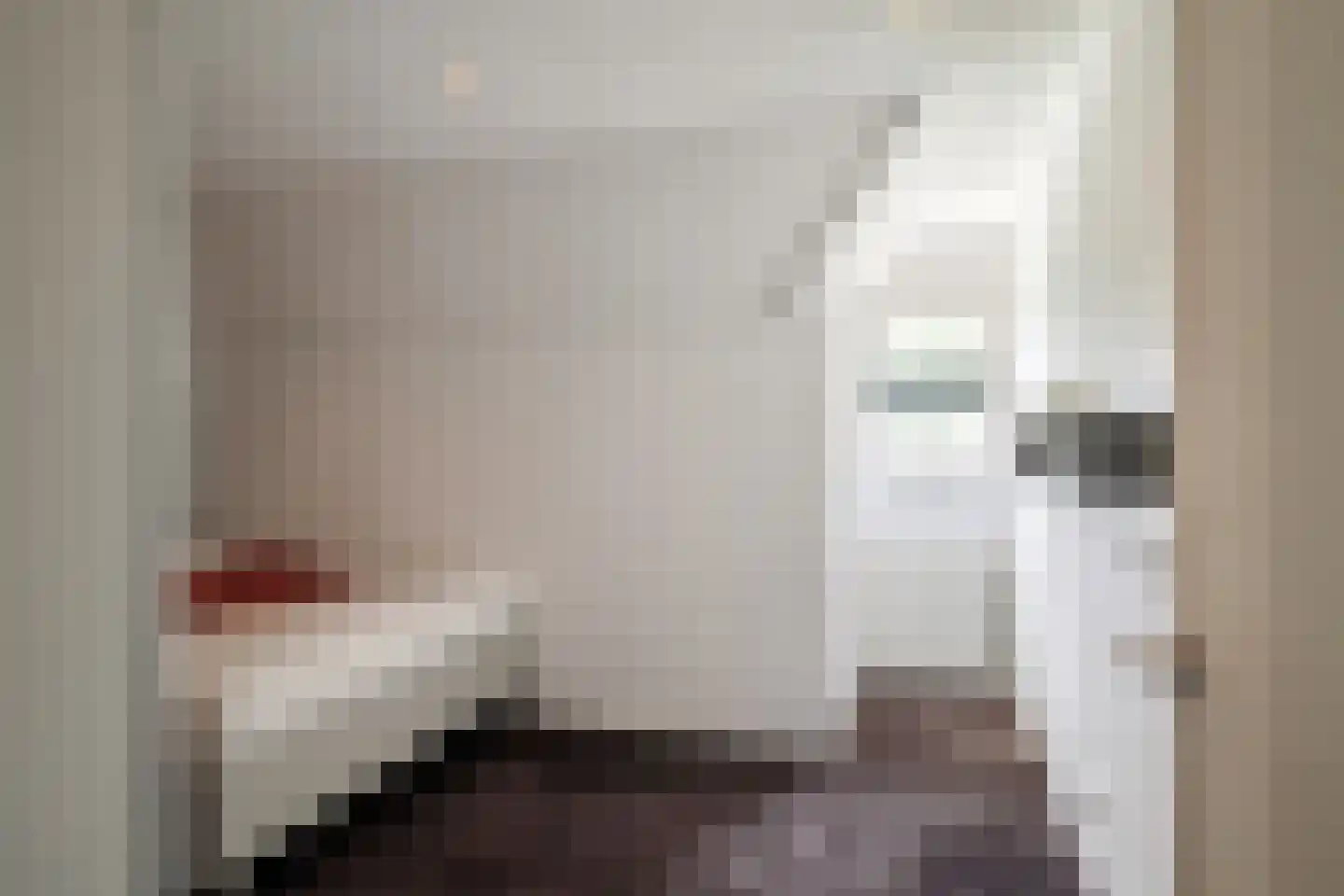 Enschedesestraat 54 Losser thumbnail 46