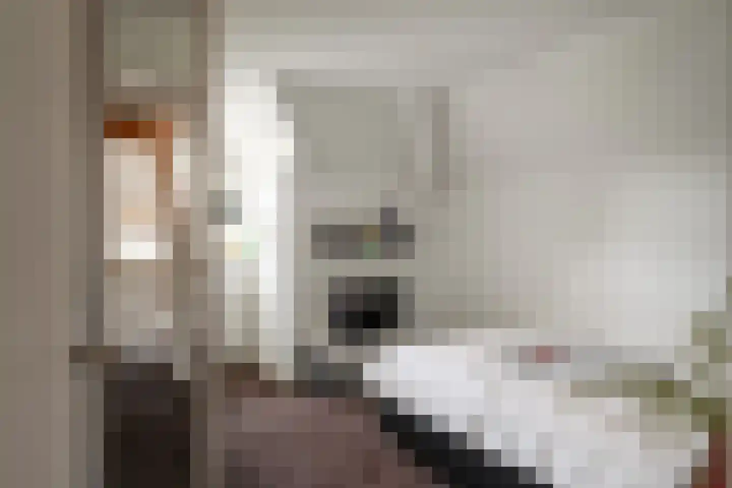 Enschedesestraat 54 Losser thumbnail 47