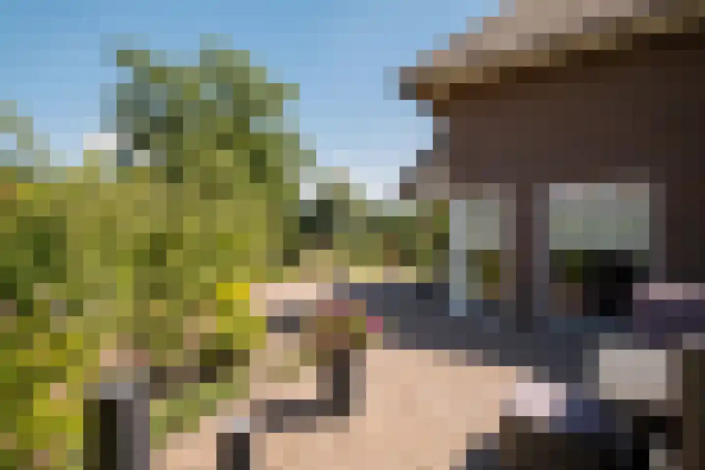 Enschedesestraat 54 Losser thumbnail 57