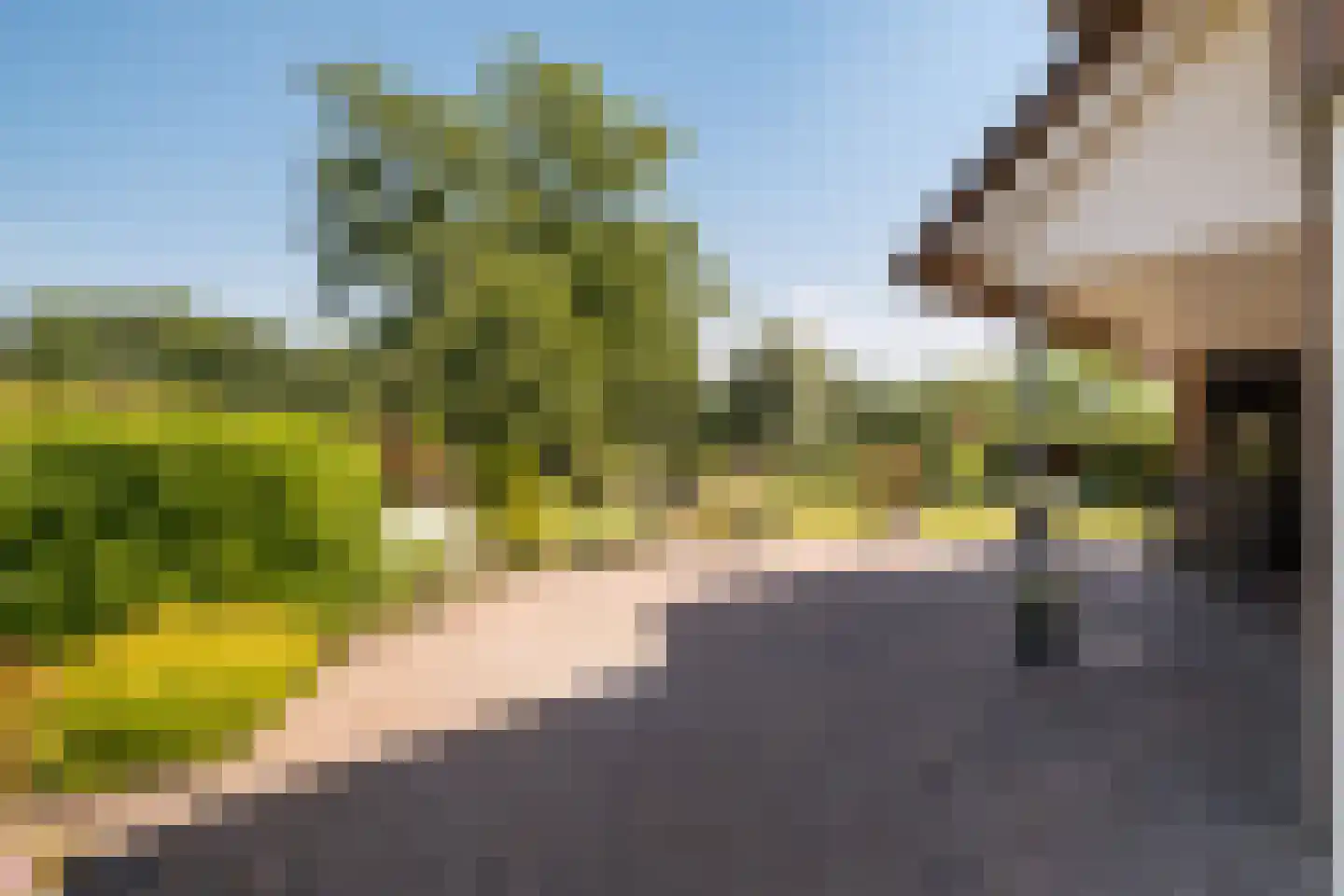 Enschedesestraat 54 Losser thumbnail 58