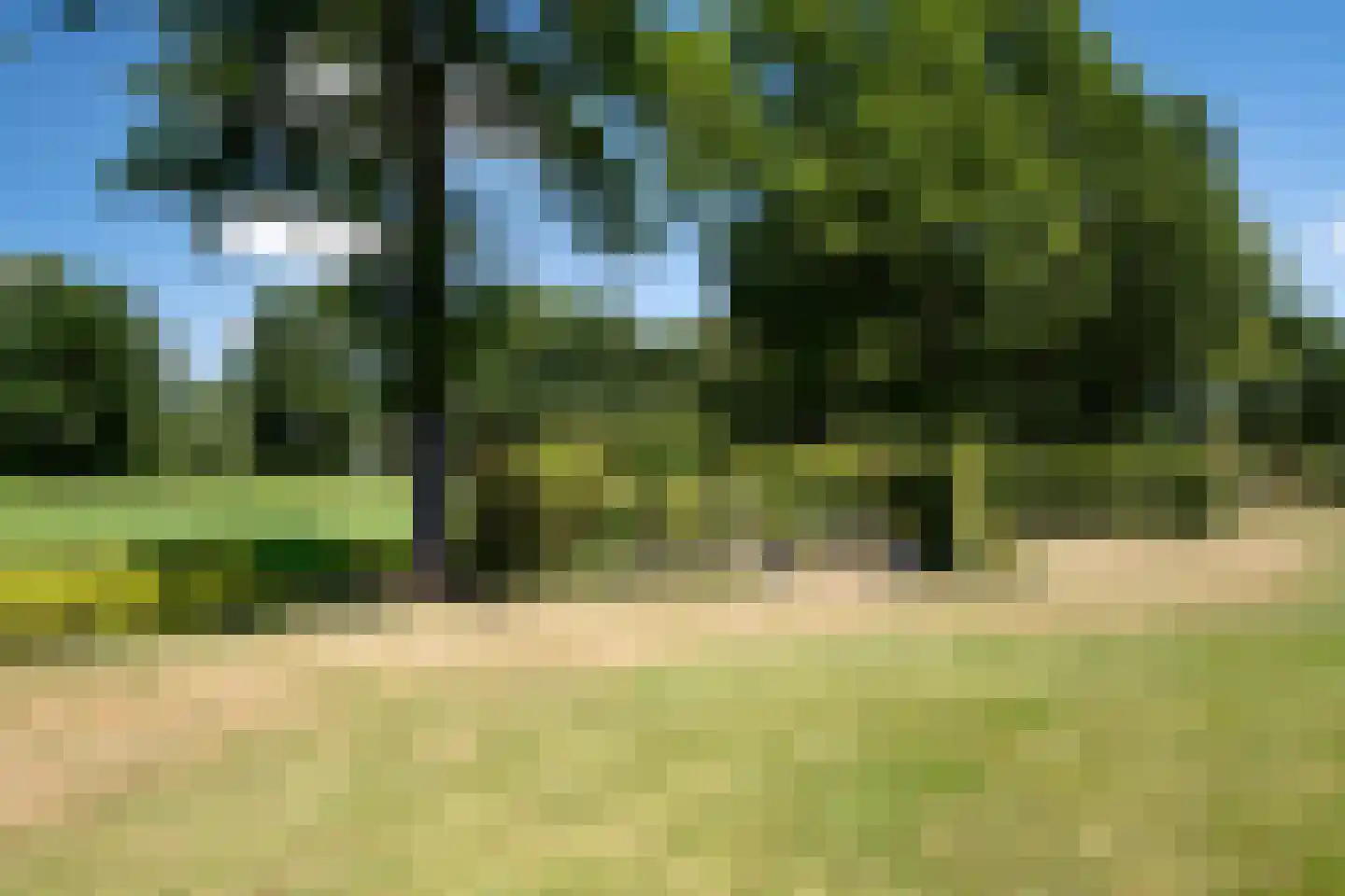 Enschedesestraat 54 Losser thumbnail 61