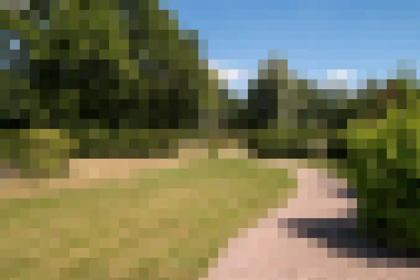 Enschedesestraat 54 Losser thumbnail 64