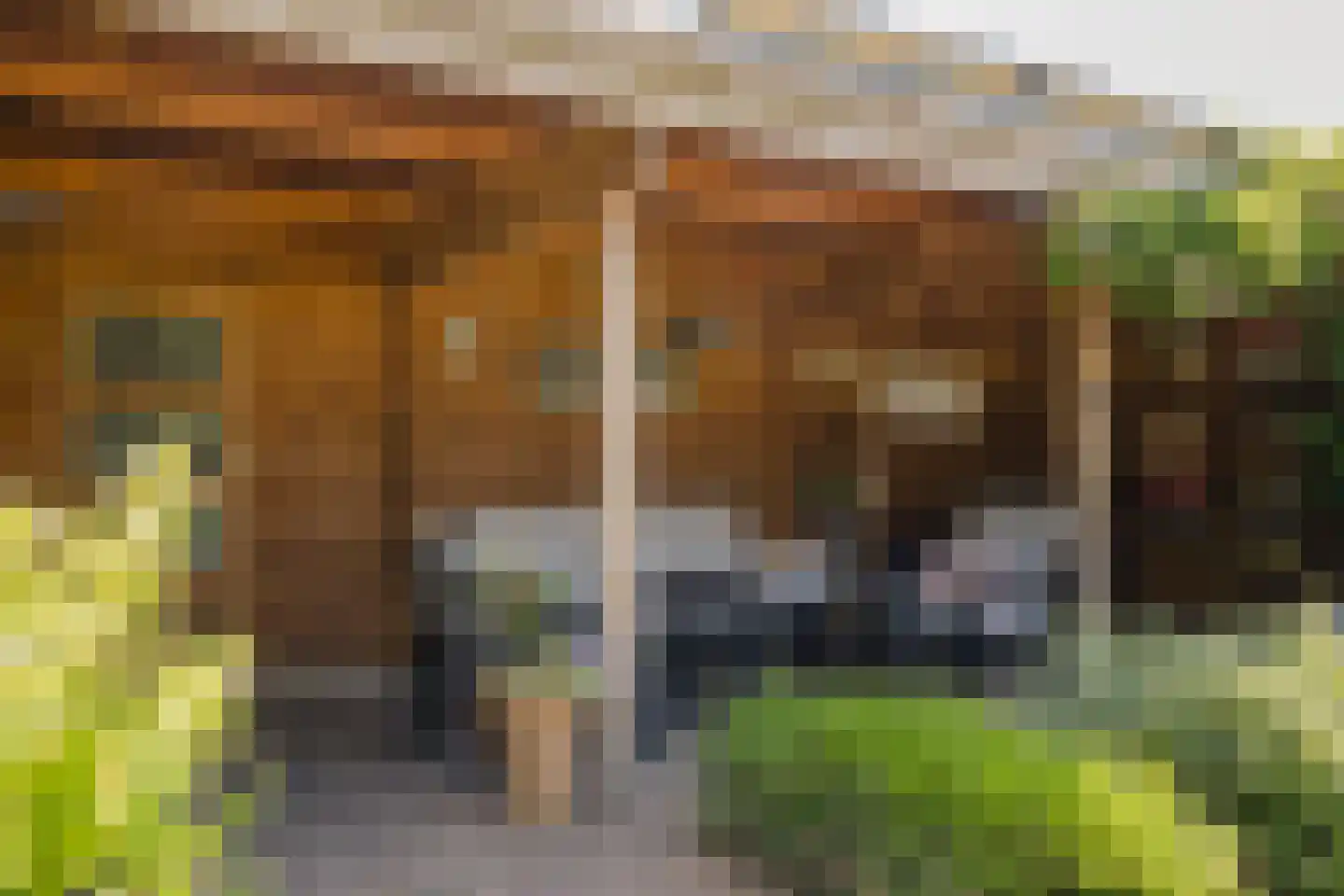 Enschedesestraat 54 Losser thumbnail 65