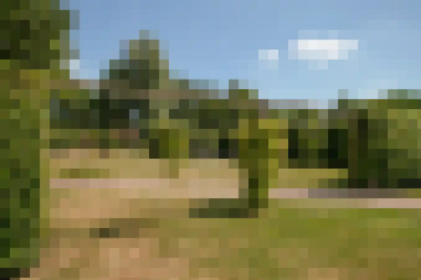 Enschedesestraat 54 Losser thumbnail 66