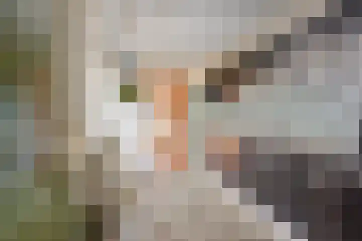 Enschedesestraat 79 Losser thumbnail 17