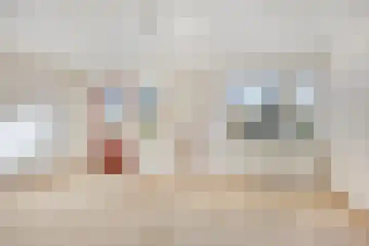 Enschedesestraat 79 Losser thumbnail 24