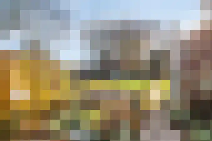 Enschedesestraat 79 Losser thumbnail 30