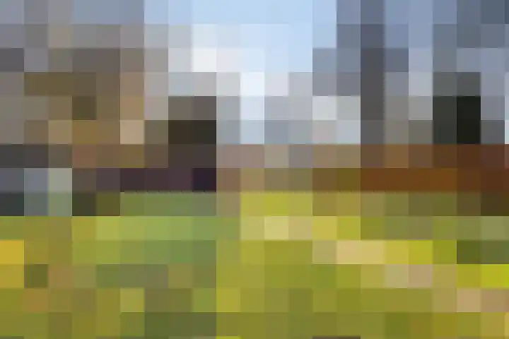 Enschedesestraat 79 Losser thumbnail 31