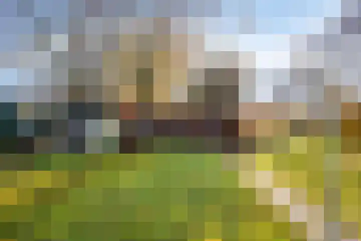Enschedesestraat 79 Losser thumbnail 32