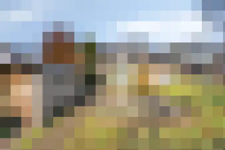 Enschedesestraat 79 Losser thumbnail 33