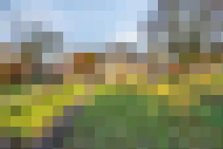 Enschedesestraat 79 Losser thumbnail 35