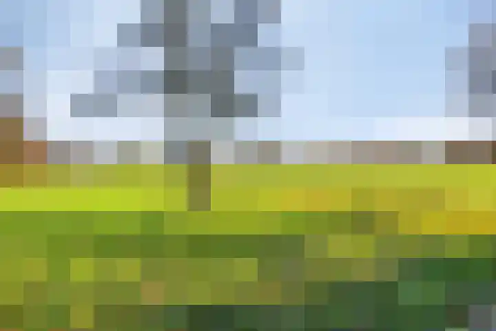 Enschedesestraat 79 Losser thumbnail 41