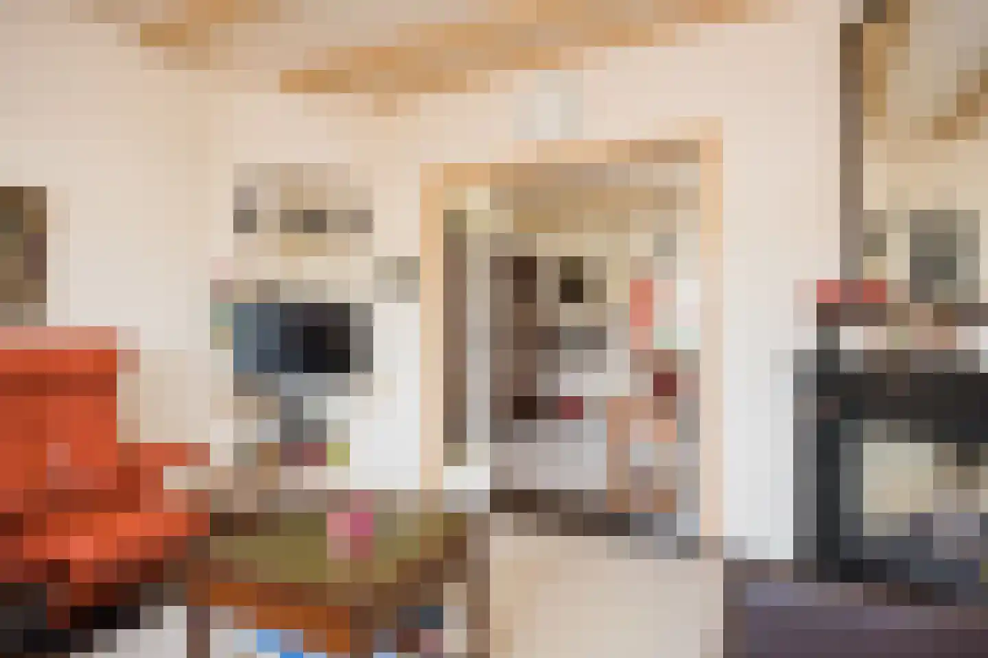 Enschedesestraat 85 Losser thumbnail 15