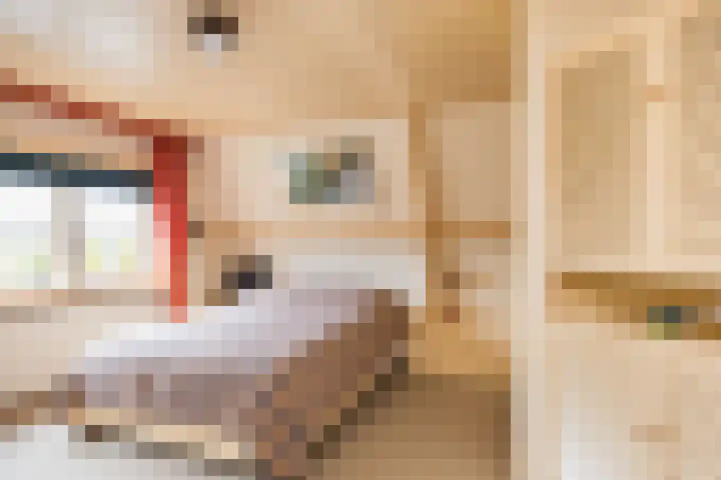 Enschedesestraat 85 Losser thumbnail 27