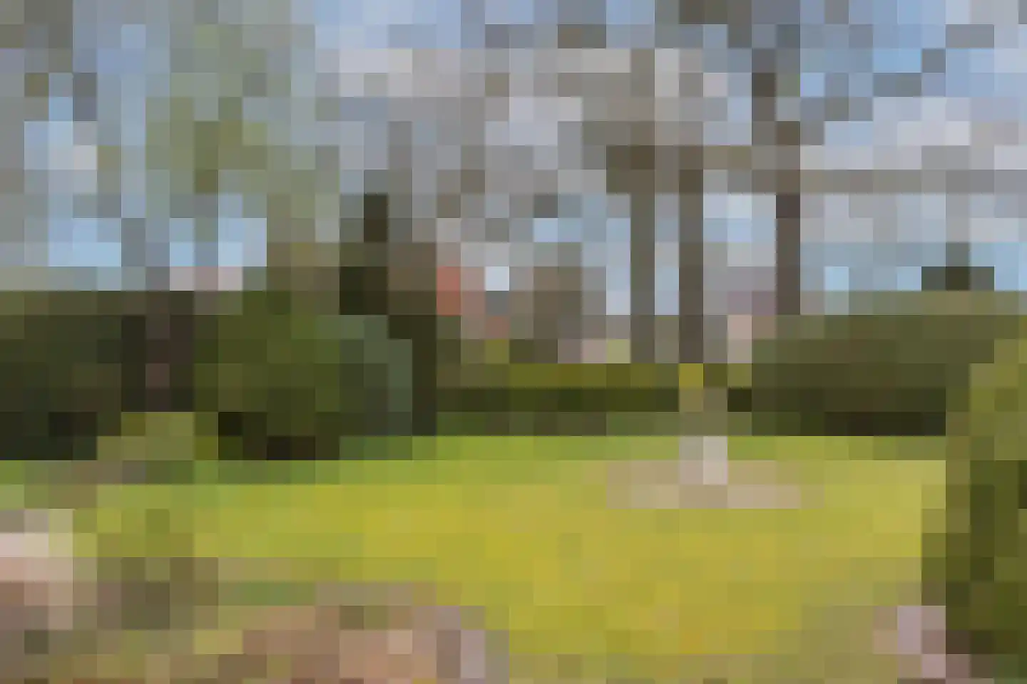 Enschedesestraat 85 Losser thumbnail 32