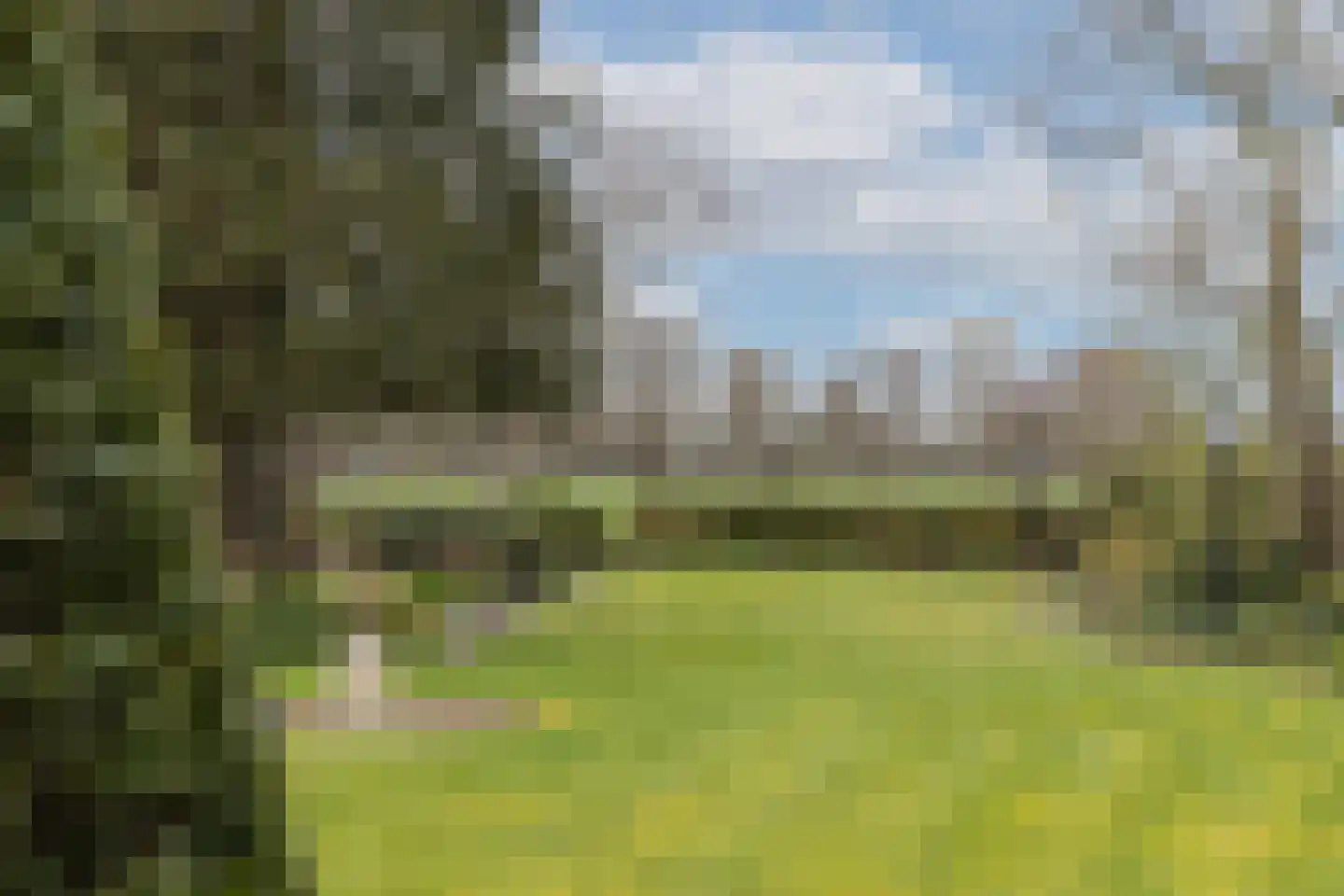 Enschedesestraat 85 Losser thumbnail 34