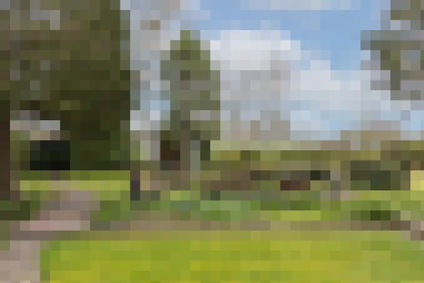 Enschedesestraat 85 Losser thumbnail 35