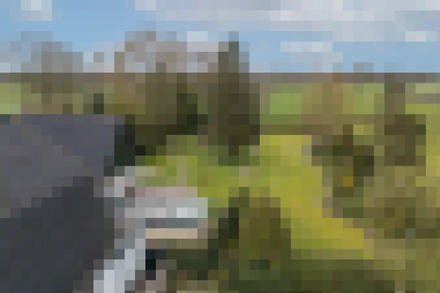 Enschedesestraat 85 Losser thumbnail 43