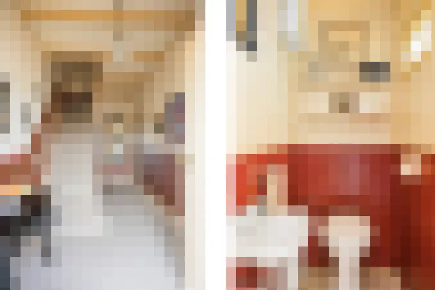 Enschedesestraat 85 Losser thumbnail 8
