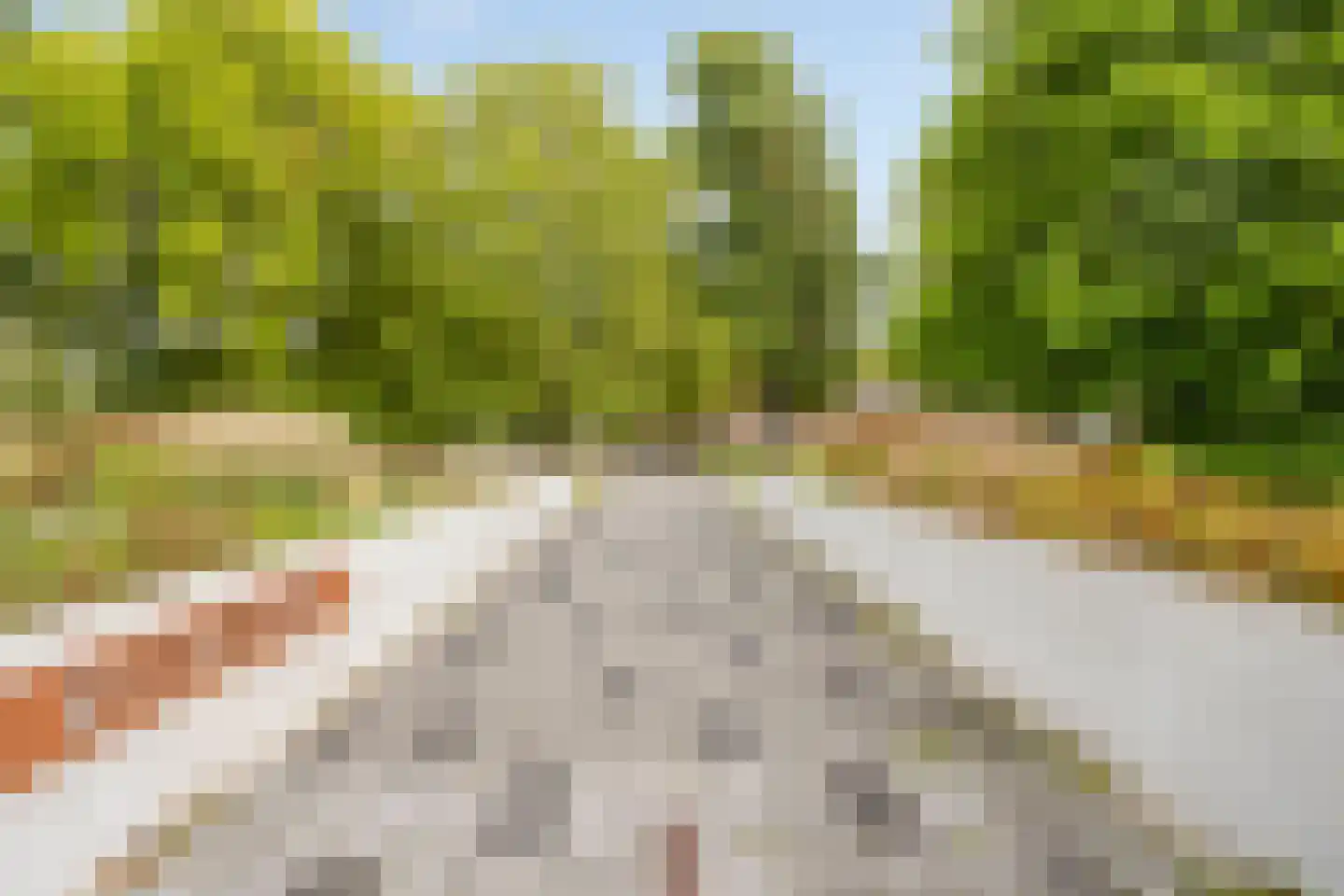 Enschedesestraat 96 Hengelo thumbnail 50