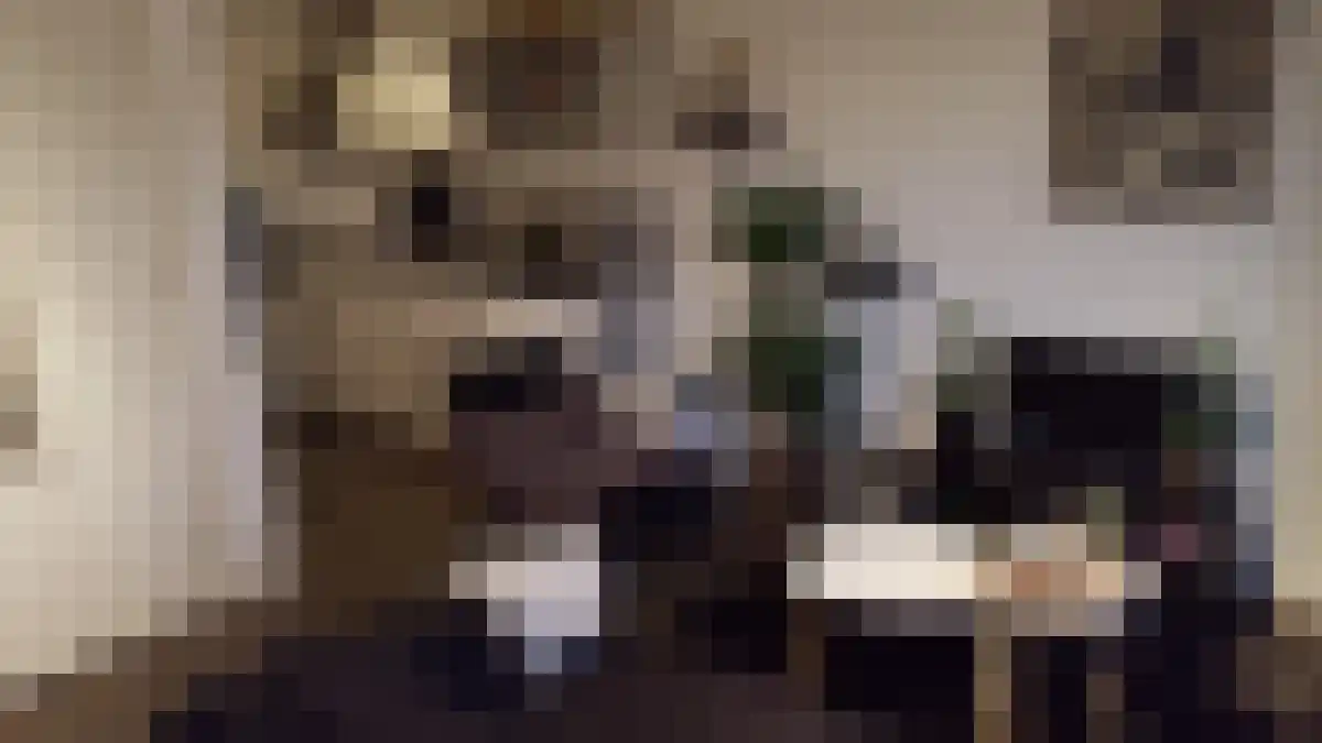 Enschotsestraat 128 Tilburg thumbnail 4