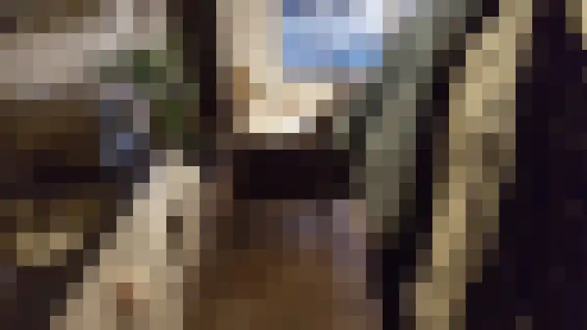 Enschotsestraat 128 Tilburg thumbnail 5