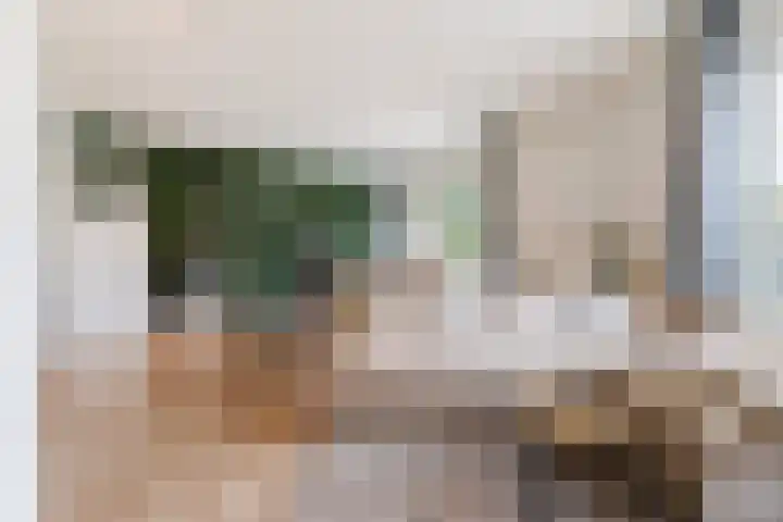 Enschotsestraat 130 Tilburg thumbnail 11