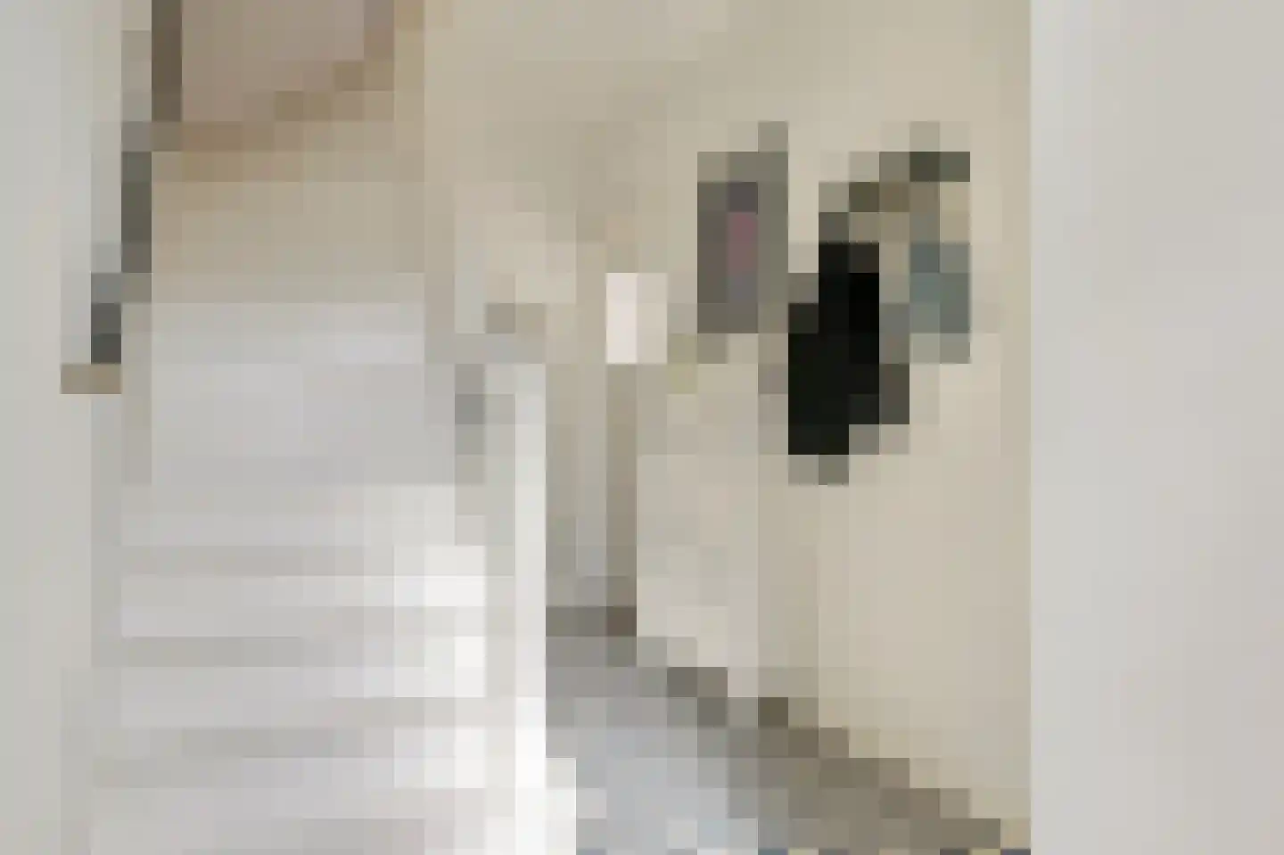 Enschotsestraat 187 Tilburg thumbnail 19