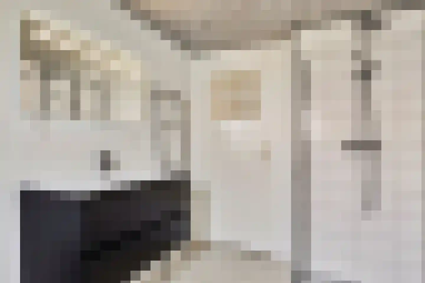 Enschotsestraat 187 Tilburg thumbnail 24
