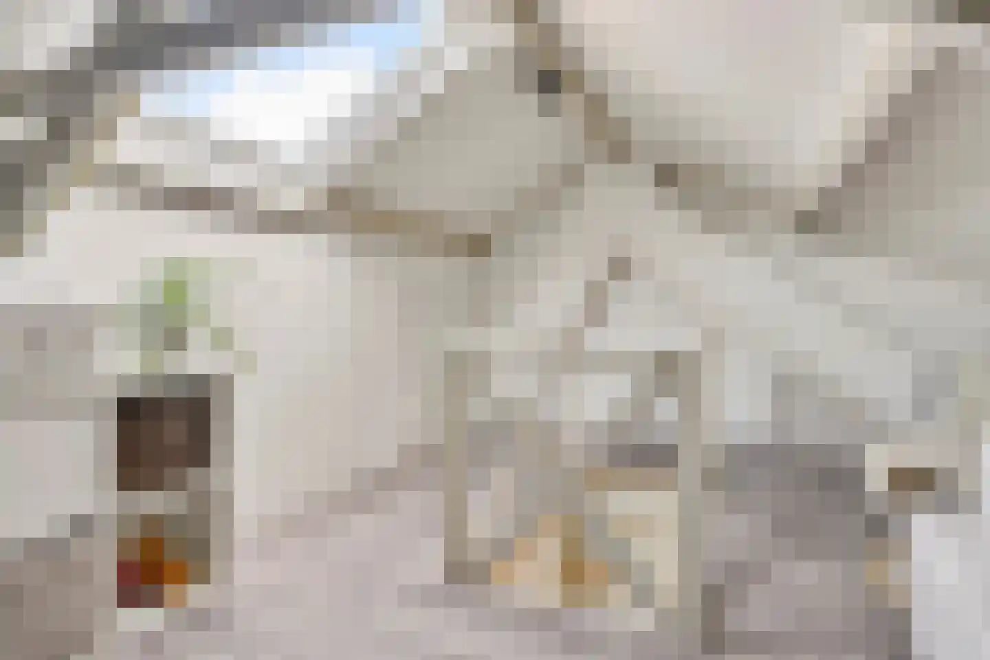 Enschotsestraat 187 Tilburg thumbnail 31