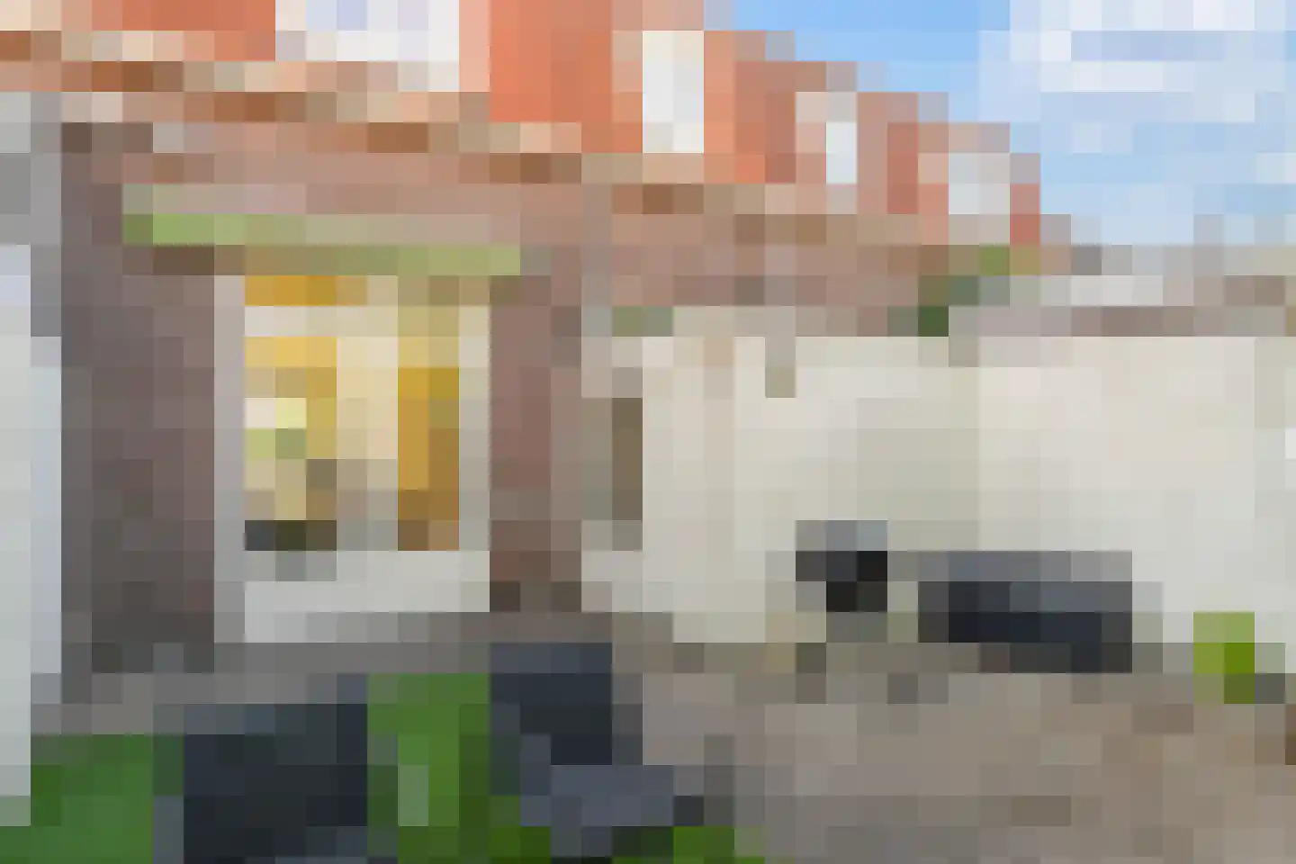 Enschotsestraat 187 Tilburg thumbnail 39