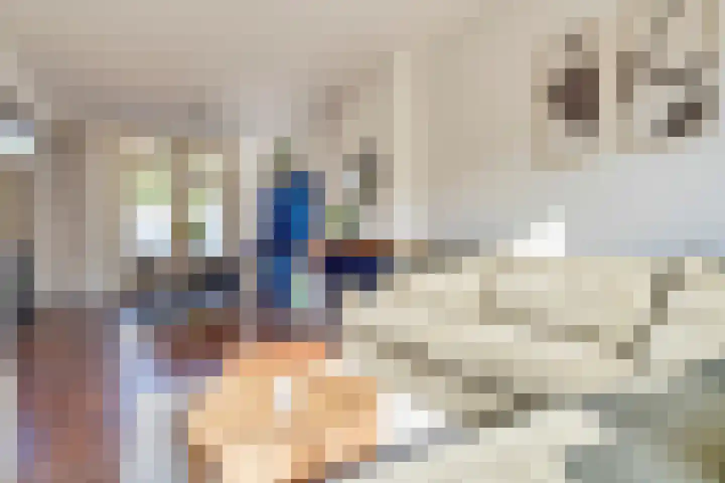 Enschotsestraat 187 Tilburg thumbnail 4