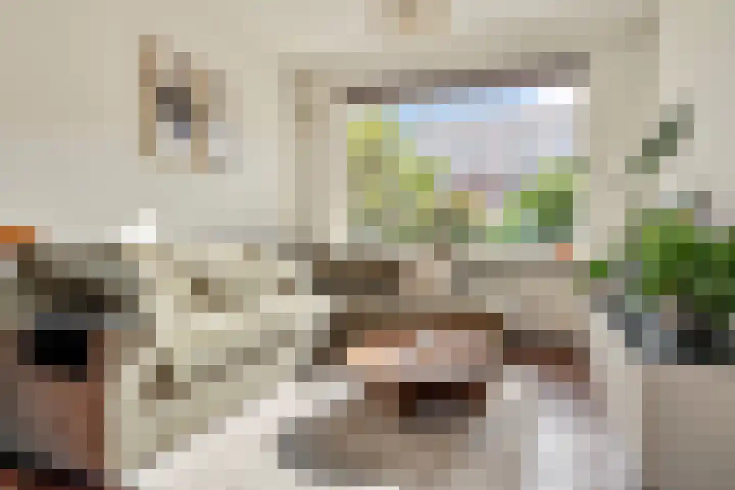 Enschotsestraat 187 Tilburg thumbnail 5