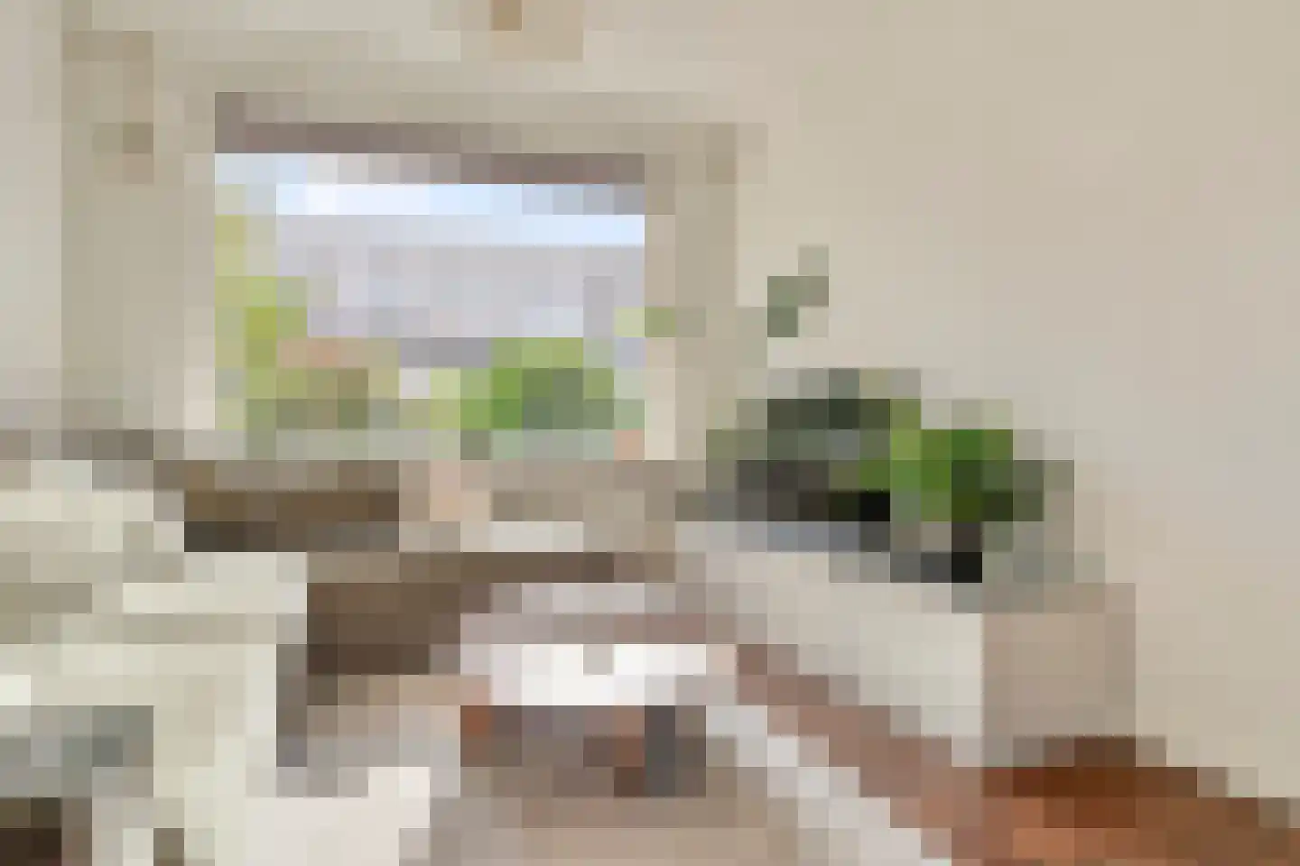 Enschotsestraat 187 Tilburg thumbnail 7