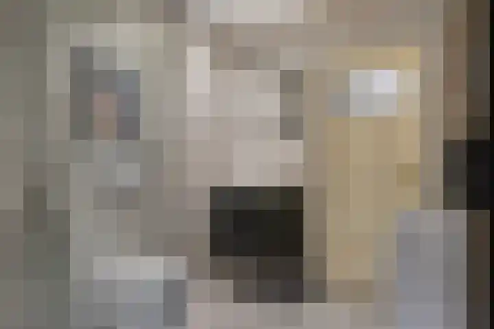 Enschotsestraat 276 Tilburg thumbnail 14