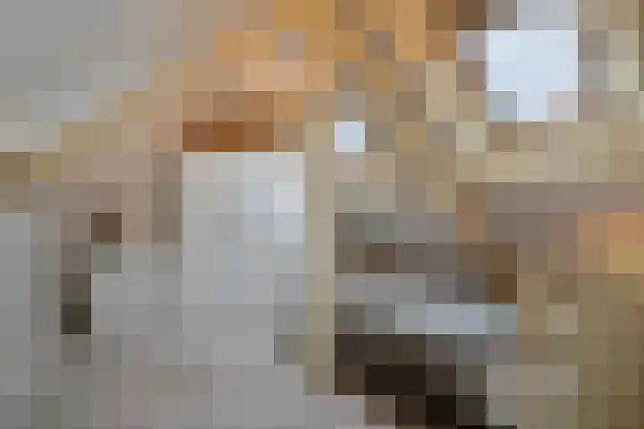 Enschotsestraat 276 Tilburg thumbnail 22