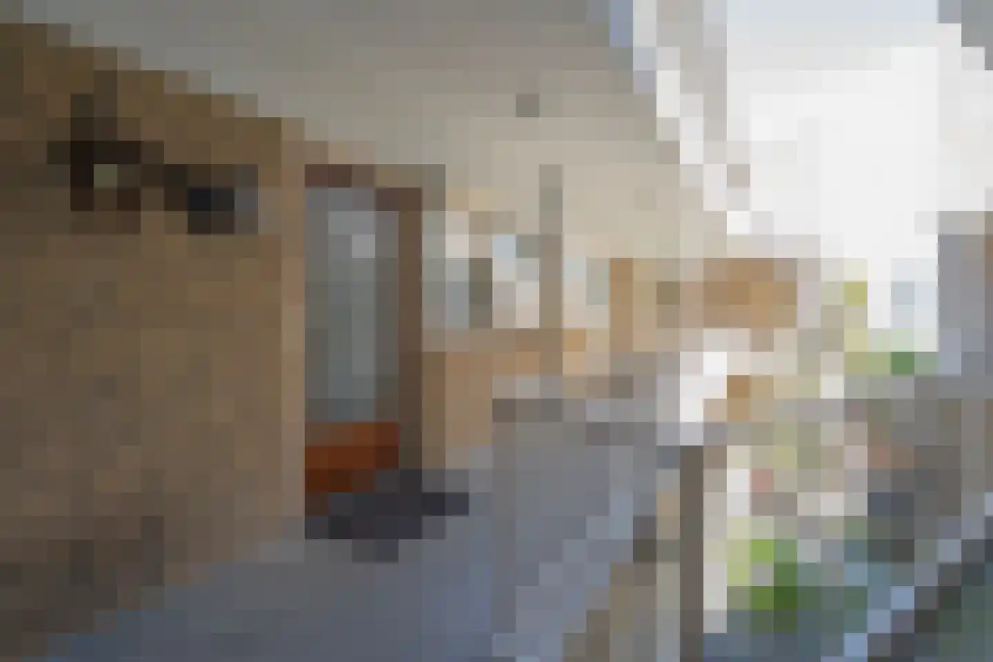 Enschotsestraat 365 Tilburg thumbnail 11